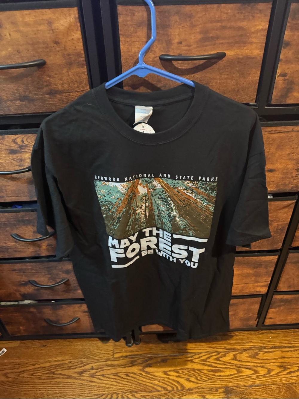 Port and Company Black Graphic Tee with Forest Print